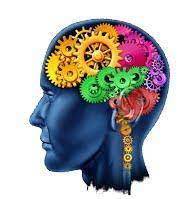 A person-like figure showing the different parts of the brain as colourful cogs.